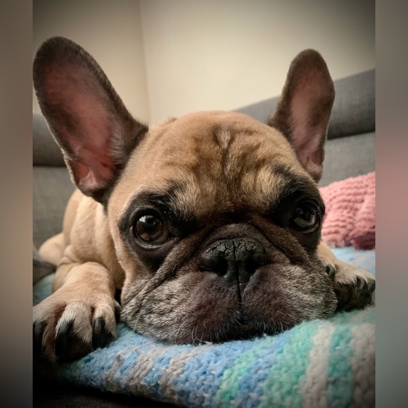 Meet your Posher, Marisa - Picture 10 of 14